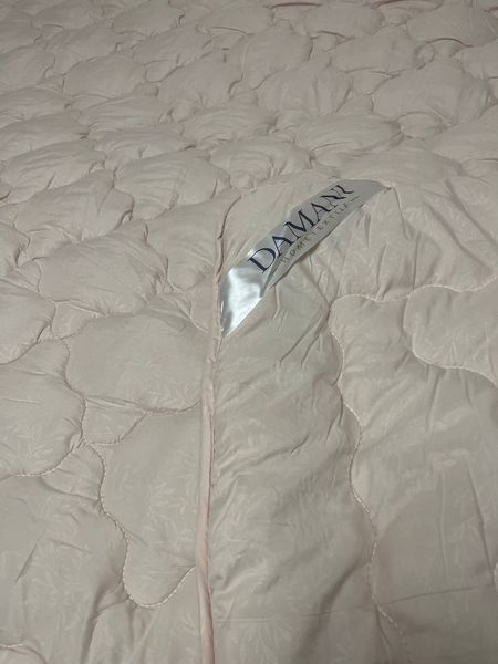 Євро ковдра DOMANI 10780 фото